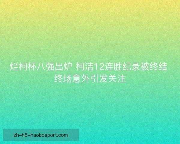 烂柯杯八强出炉 柯洁12连胜纪录被终结 终场意外引发关注